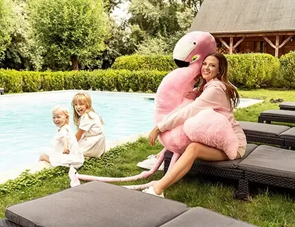 Stora flamingor gosedjur